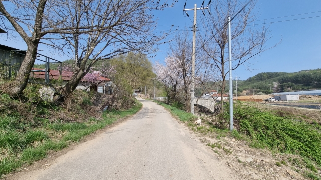 저수지 산책길